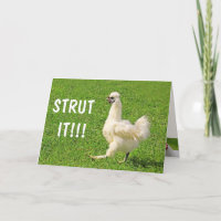Strut It! Chicken And Rooster Birthday