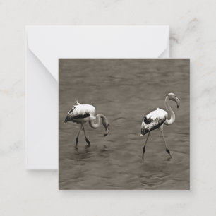 Strutt Like A Juvenile Artistic Flamingo In Gre Card