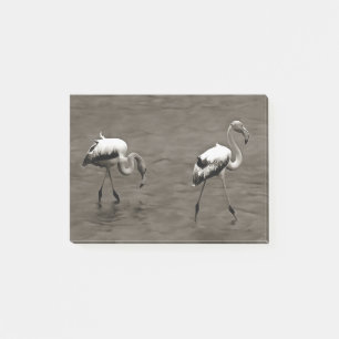 Strutt Like A Juvenile Artistic Flamingo In Grey Post-it Notes
