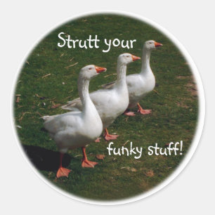 Strutt your funky stuff! classic round sticker