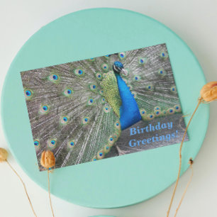 Strutting Blue Peacock Funny Birthday Card