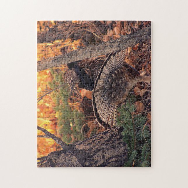 Strutting male ruffed grouse jigsaw puzzle (Vertical)