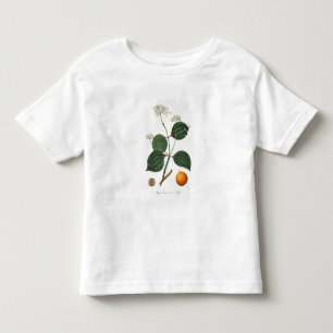 Strychnos nux vomica from 'Phytographie Medicale' Toddler T-Shirt