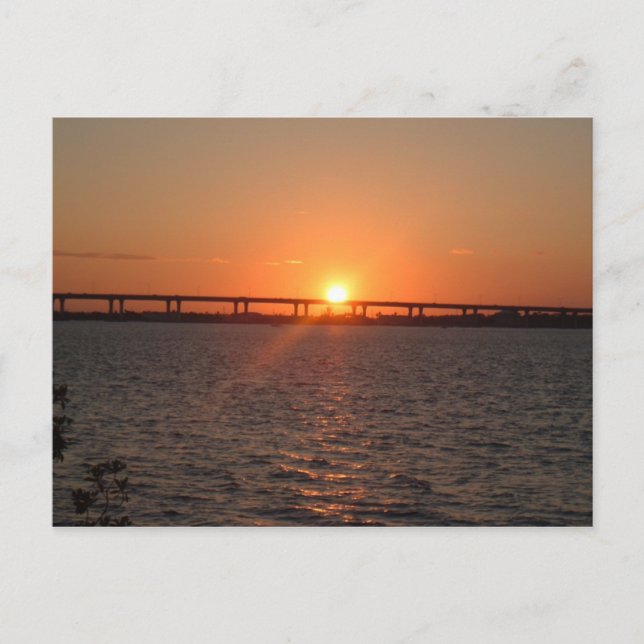 Stuart, FL Postcard (Front)