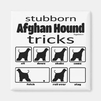 Stubborn Afghan Hound Tricks Magnet