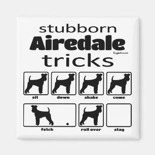 Stubborn Airedale Terrier Tricks Magnet