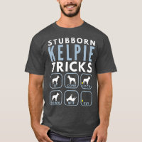 Stubborn Australian Kelpie Tricks - Dog Training