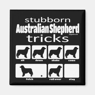 Stubborn Australian Shepherd Tricks Magnet