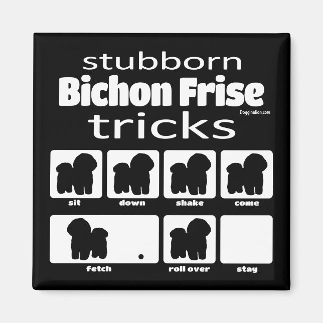 Stubborn Bichon Frise Tricks Magnet (Front)