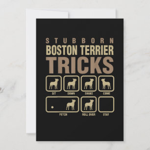 Stubborn Boston Terrier Tricks Dog Lover T-Shirt Announcement