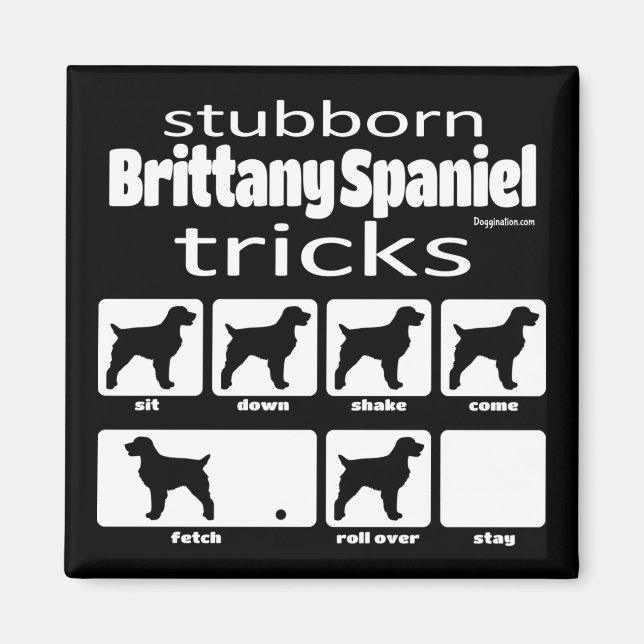 Stubborn Brittany Spaniel Tricks Magnet (Front)