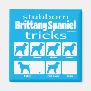 Stubborn Brittany Spaniel Tricks Magnet