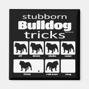Stubborn Bulldog Tricks Magnet