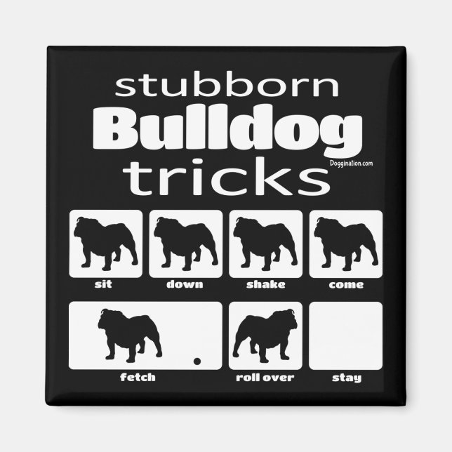 Stubborn Bulldog Tricks Magnet (Front)