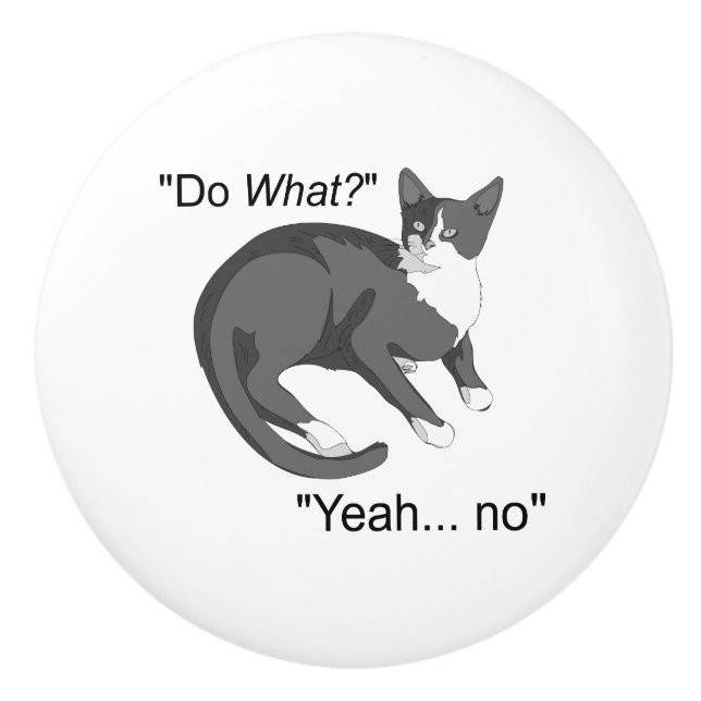 Stubborn Cat Ceramic Knob (Front)