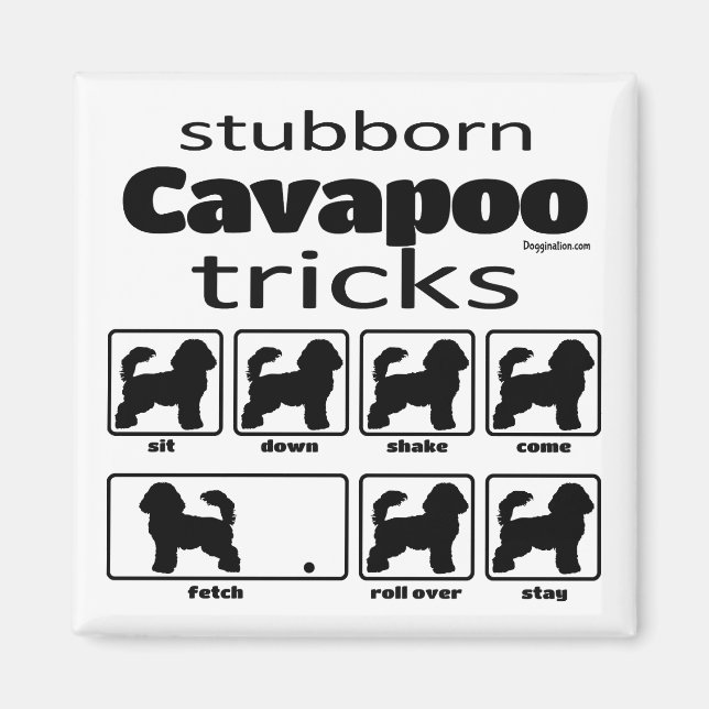 Stubborn Cavapoo Tricks Magnet (Front)