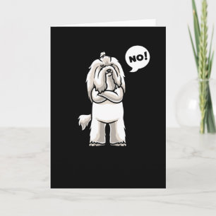 Stubborn Coton de Tulear Dog funny Card