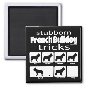 Stubborn French Bulldog Tricks Magnet