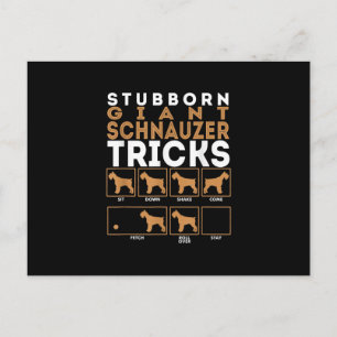 Stubborn Giant Schnauzer Dog Tricks Graphic Holiday Postcard