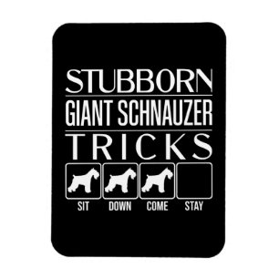 Stubborn Giant Schnauzer Tricks, Funny Giant Schna Magnet