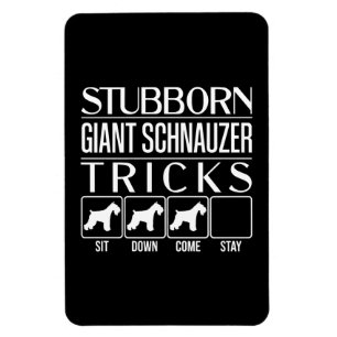 Stubborn Giant Schnauzer Tricks, Funny Giant Schna Magnet