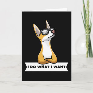 Stubborn Podenco dog Card