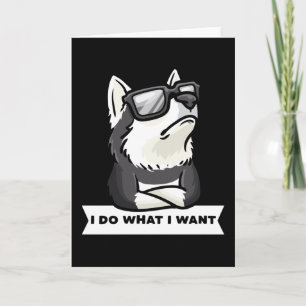 Stubborn Pomsky Dog Funny Card