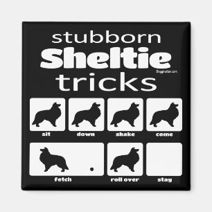 Stubborn Sheltie Tricks Magnet