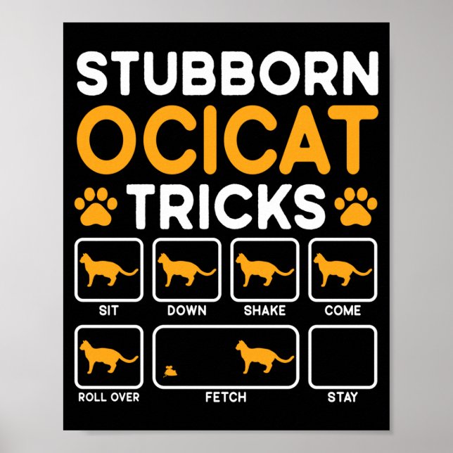 Stubborn tricks cat owner ocicat cat performance  poster (Front)
