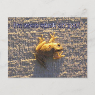 Stuck On You Postcard