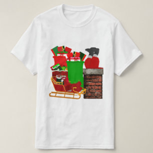 Stuck Santa Tri-Blend shirt