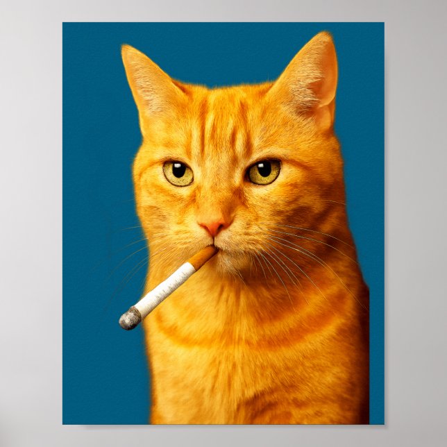 Stud Cool Funny Cat Meme Smoking Cat Cigarette  Poster (Front)