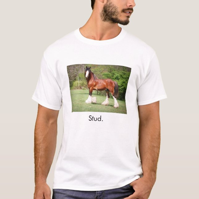Stud T-Shirt (Front)