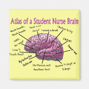 Student Nurse Gifts Magnet