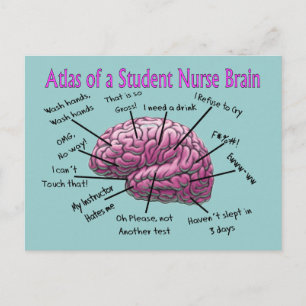 Student Nurse Gifts Postcard