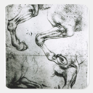 Studies of Horses legs Square Sticker