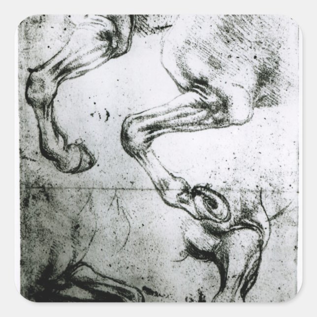 Studies of Horses legs Square Sticker (Front)