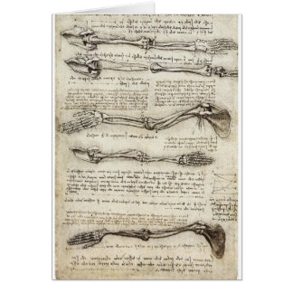 Studies of the Arm by Leonardo Da Vinci c. 1510