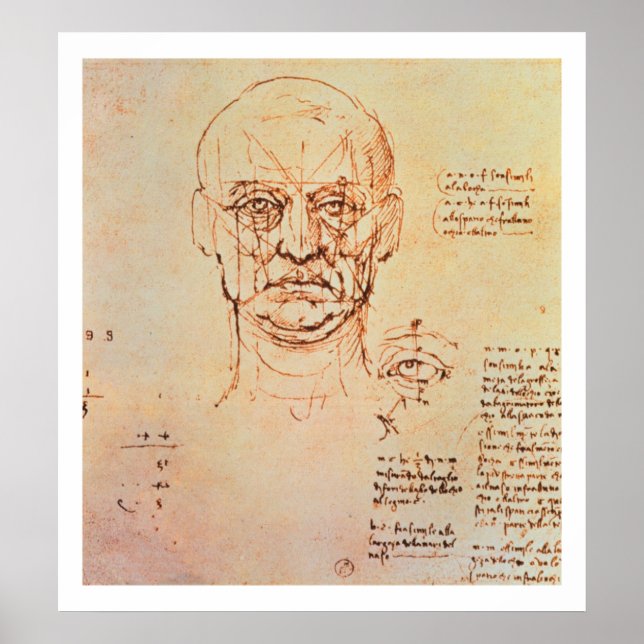 Studies of the Proportions of the Face and Eye, 14 Poster (Front)