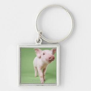 Studio Cut Out of a Piglet Standing Key Ring