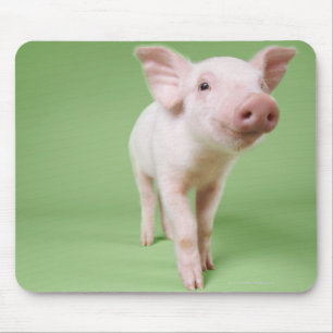 Studio Cut Out of a Piglet Standing Mouse Pad