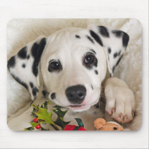 studio mouse pad