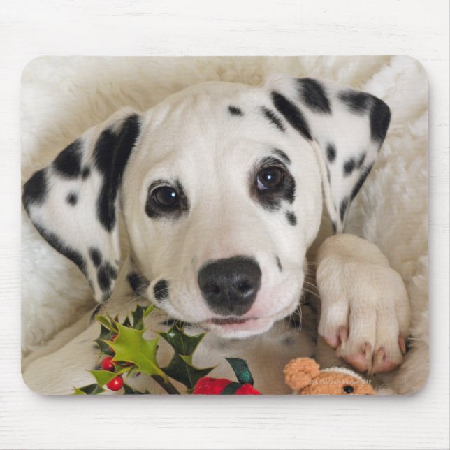 studio mouse pad (Front)