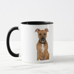 Studio portrait of American pit bull puppy 3 Mug