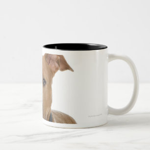 Studio portrait of American pit bull puppy Two-Tone Coffee Mug