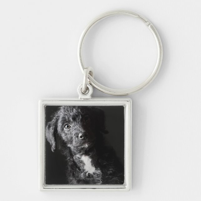 Studio portrait of black jack-a-doodle key ring (Front)