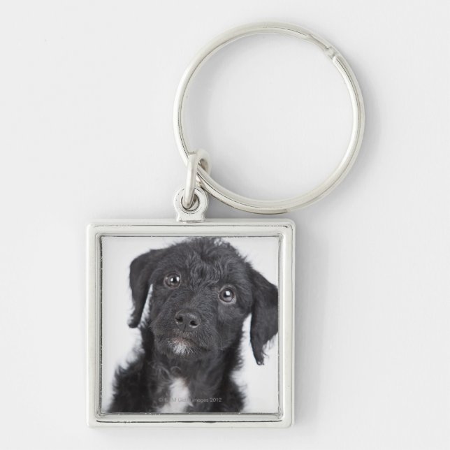 Studio portrait of black jack-a-doodle key ring (Front)