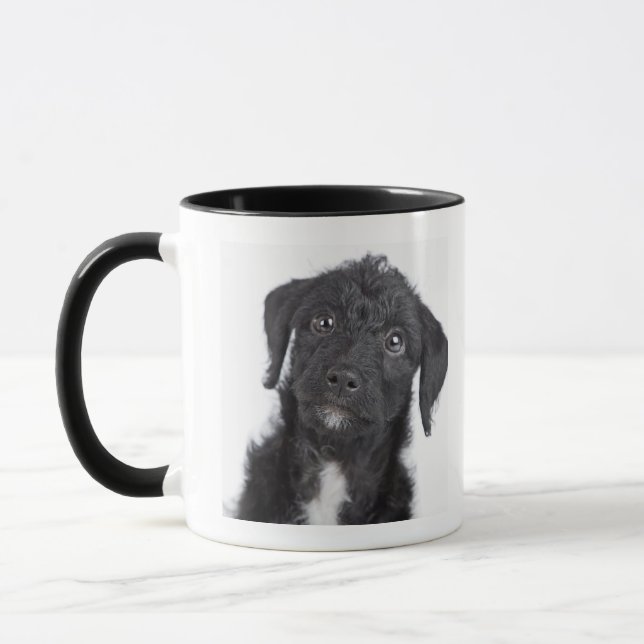 Studio portrait of black jack-a-doodle mug (Left)