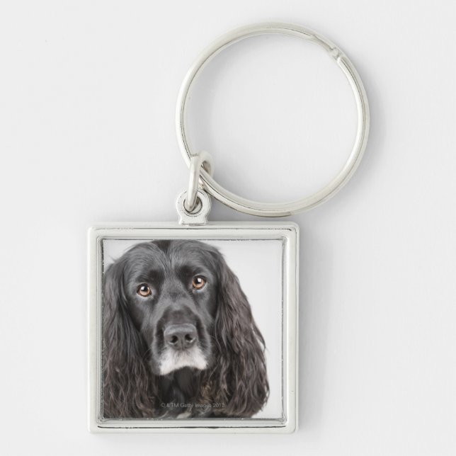 Studio portrait of cocker spaniel key ring (Front)