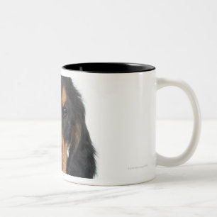 Studio portrait of Rottweiler puppy Two-Tone Coffee Mug
